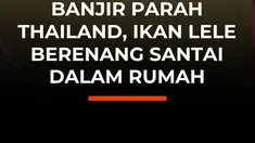 Banjir di Bangkok menghadirkan "tamu" tak terduga bagi seorang warga. Seekor ikan lele terlihat berenang santai di dalam ruang tamu yang terendam air, menyusuri genangan keruh di antara furnitur dan barang-barang rumah tangga.

Setelah sempat berenang ke sana kemari, petualangan ikan tersebut akh...