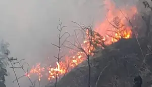 Gunung Bromo Kebakaran, Akses Wisata Ditutup