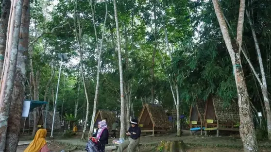 Pemanfaatan Hutan Berkelanjutan di Kaltim Hasilkan Nilai Ekonomi