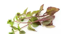 Belum lama ini, tumbuhan yang dijuluki 'pig pungent weed' ternyata diijinkan menjadi obat tradisional pertama di Inggris