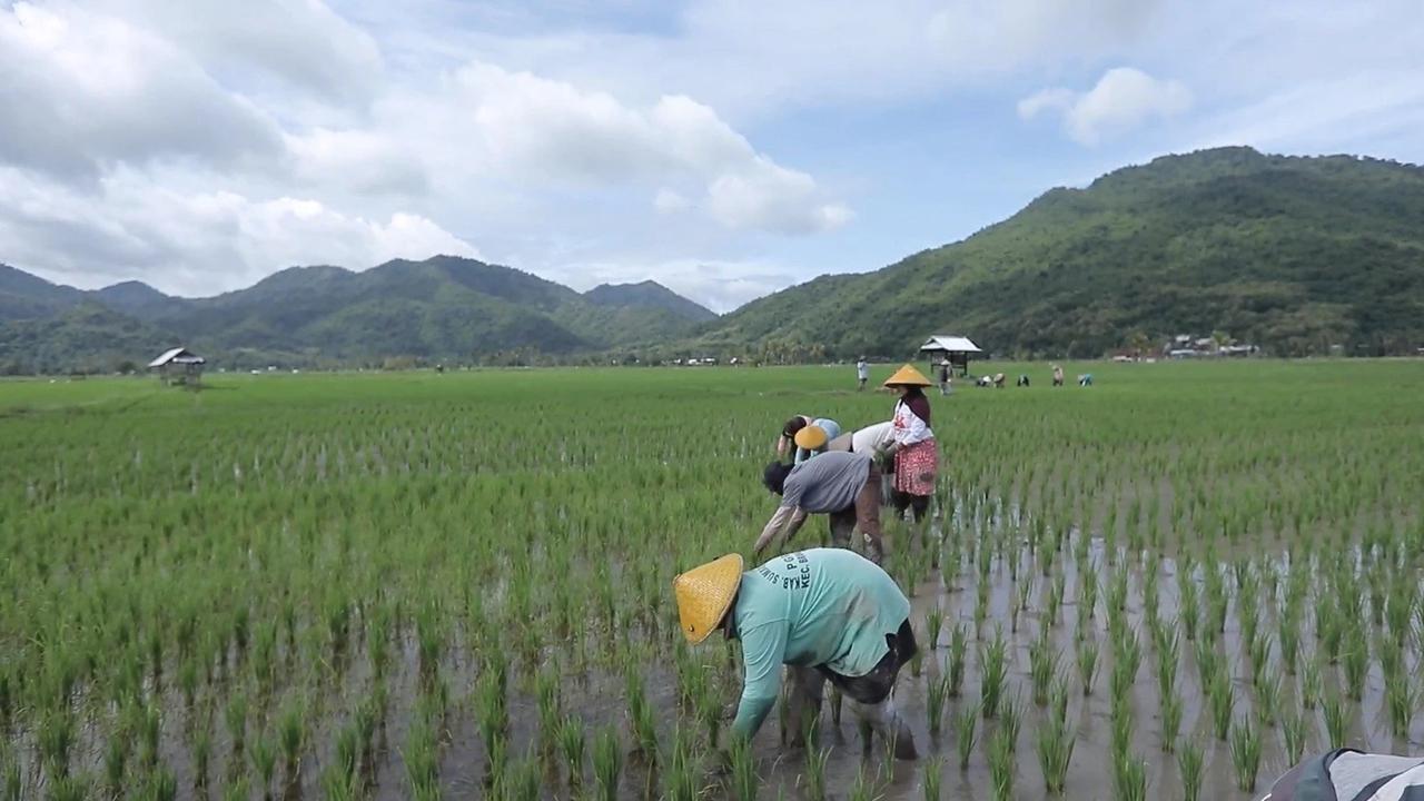 Desa Manemeng di Kabupaten Sumbawa Barat
