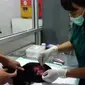 Dokter Anita memeriksa dan mengobati luka bolong di perut kucing liar. (foto: liputan6.com/cahyaningtyas/edhie prayitno ige)