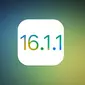 IOS 16.1.1 /Macrumors