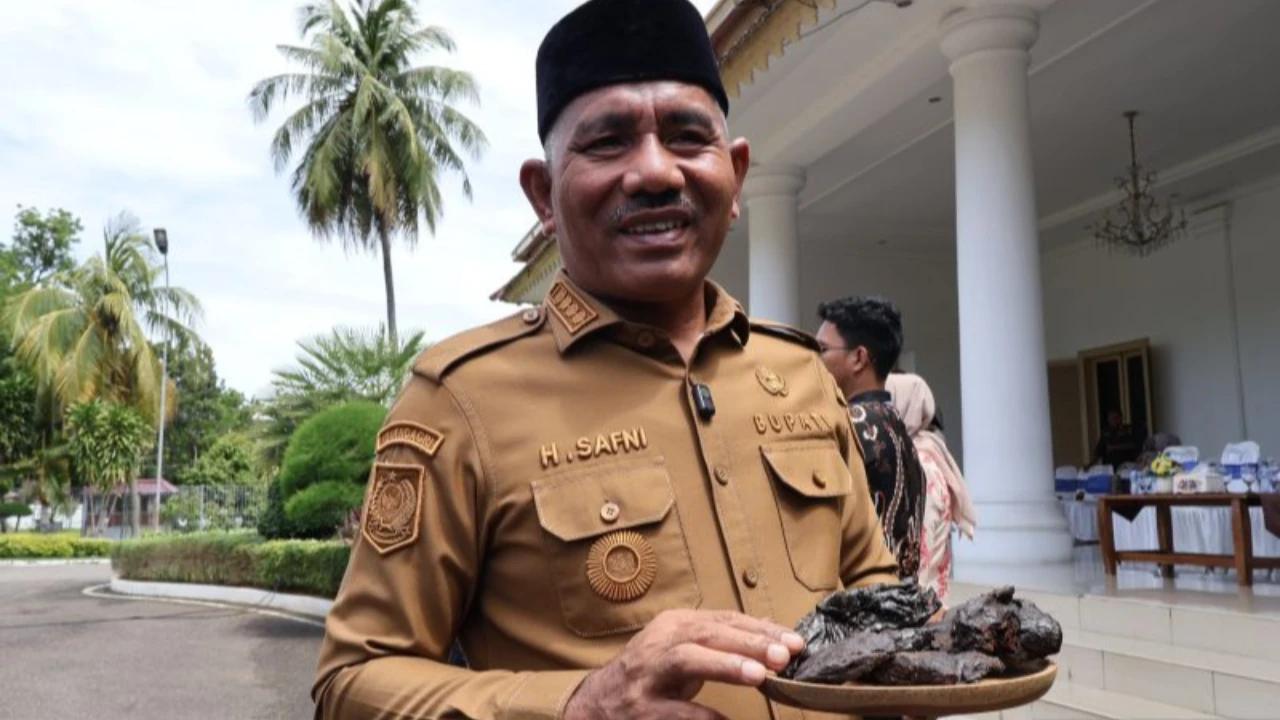 Bupati Kaget Harga Ekstrak Gambir Sumbar di India Capai Rp160.000, Dalam Negeri Cuma Rp40.000 per Kilogram