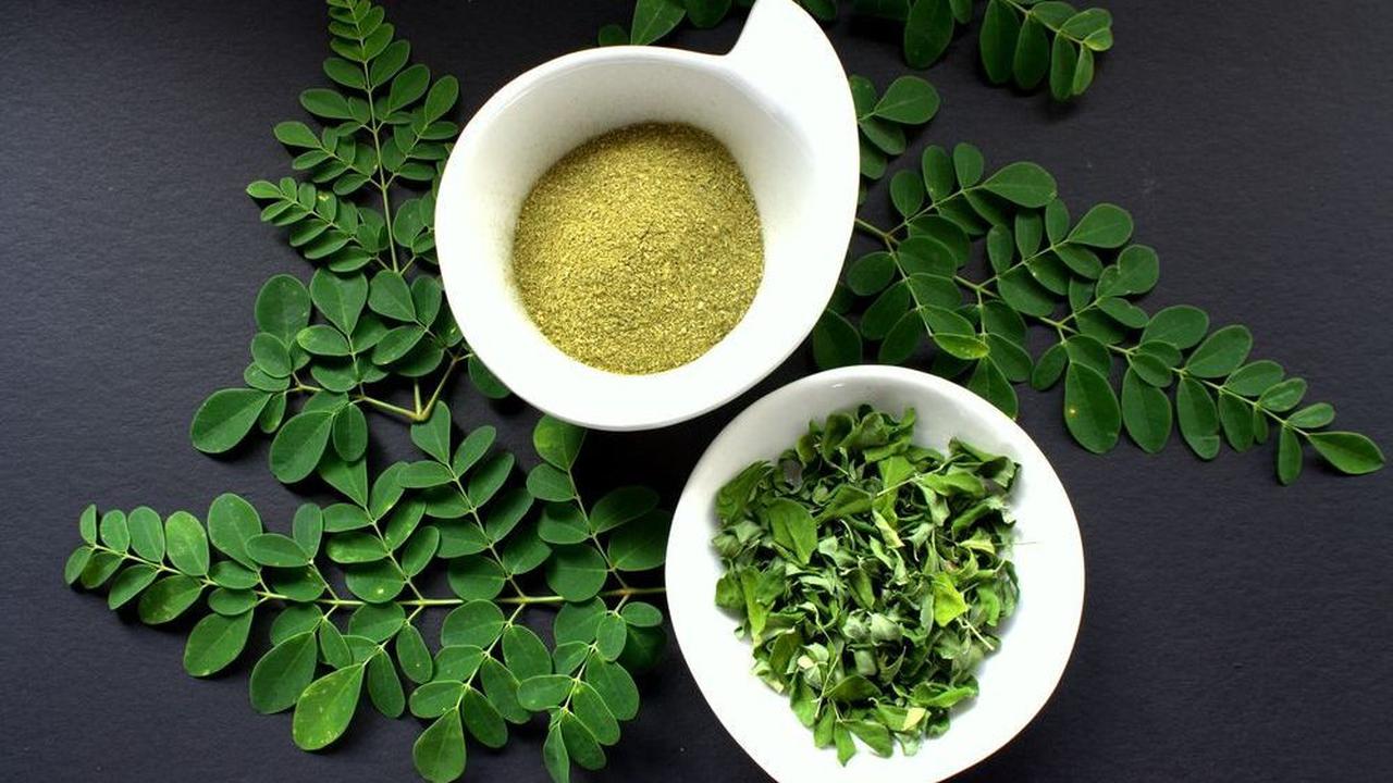 Mengolah Daun Kelor yang Kaya Nutrisi Jadi Makanan yang Lezat dan Bagus untuk Tubuh