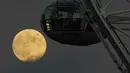 Bulan purnama terakhir tahun ini yang dikenal sebagai Bulan Dingin terbit di sebelah kapsul bianglala London Eye di London, Rabu (7/12/2022). Beberapa nama lain untuk Bulan purnama Desember adalah Snow Moon, Long Night Moon, dan Winter Maker Moon. (AP Photo/Alastair Grant)