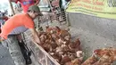Pedagang memberi makan ayam di kawasan jalan raya Bogor KM 32, Depok, Selasa (12/6). Menjelang perayaan Idul Fitri 1439 H, para pedagang ayam dan entok mulai memadati pinggir jalan raya Bogor KM 32. (Liputan6.com/Herman Zakharia)