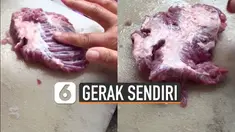 Beredar video daging kurban yang akan dimasak bergerak-gerak sendiri. Kejadian ini terjadi di Malaysia.