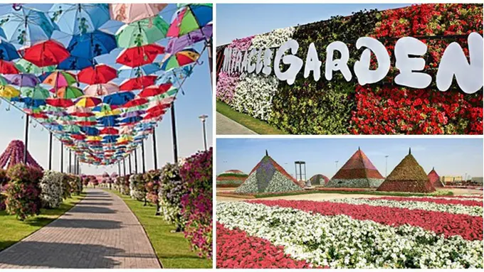 (c) thetelegraph.co.uk