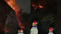 Api Melahap 1,3 Hektare Gunung Hatta Bandar Lampung