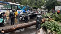 Mobil mewah bermerek Lexus rusak parah tertimpa pohon palem berukuran besar yang roboh saat hujan deras mengguyur kawasan Jalan Metro Pondok Indah, Jakarta, Minggu (26/10/2025). (merdeka.com/Arie Basuki)