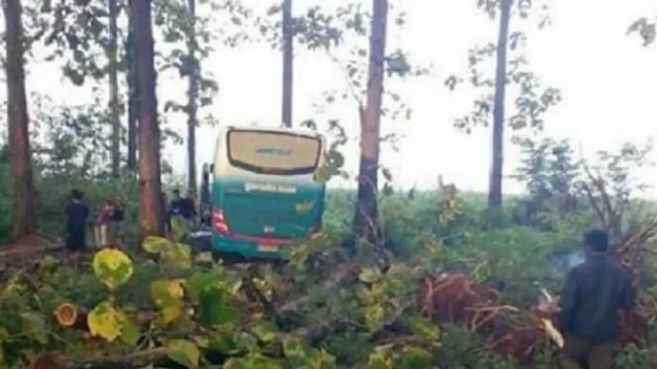 Kisah-Kisah Horor Naik Bus Hantu, dari Bus Bekasi-Bandung Hingga Bus 1965