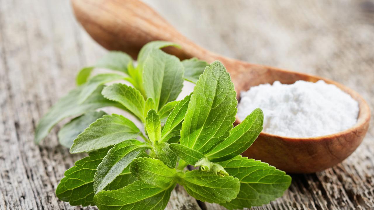 Stevia vs Gula: Manakah yang Lebih Sehat?
