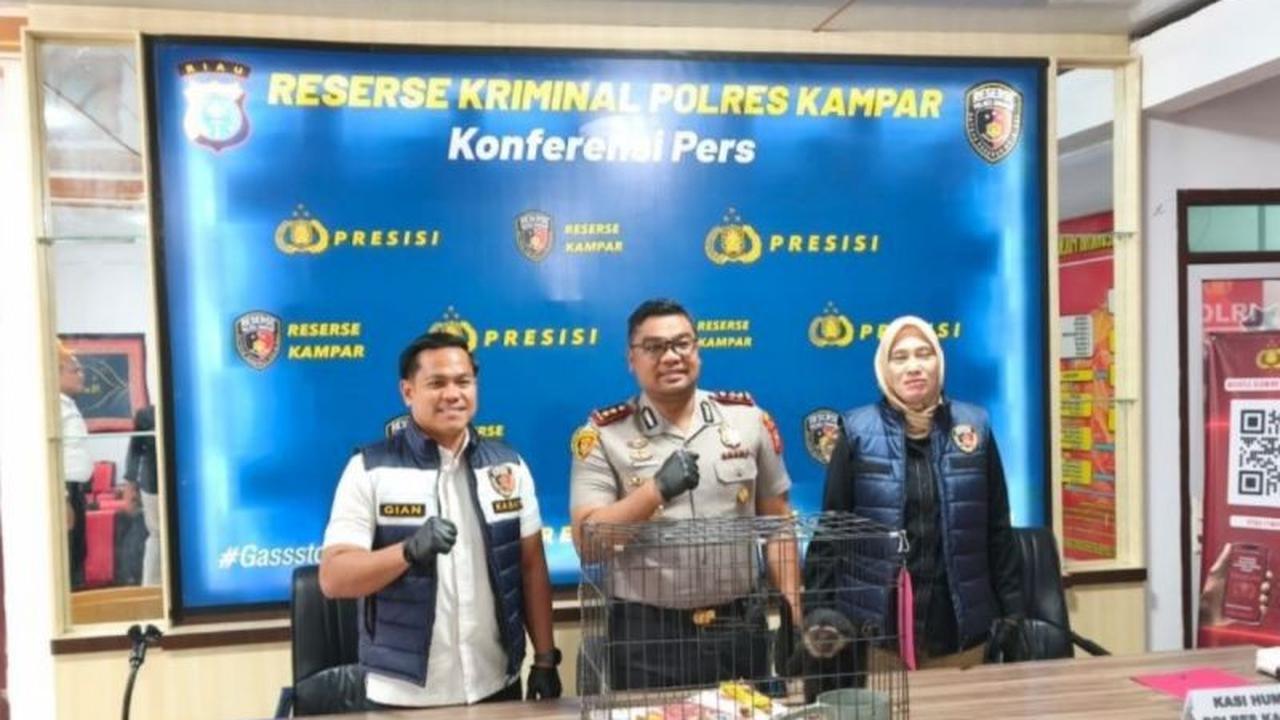 Polres Kampar Gagalkan Transaksi Ilegal Owa Ungko, Pelaku Terancam Pidana