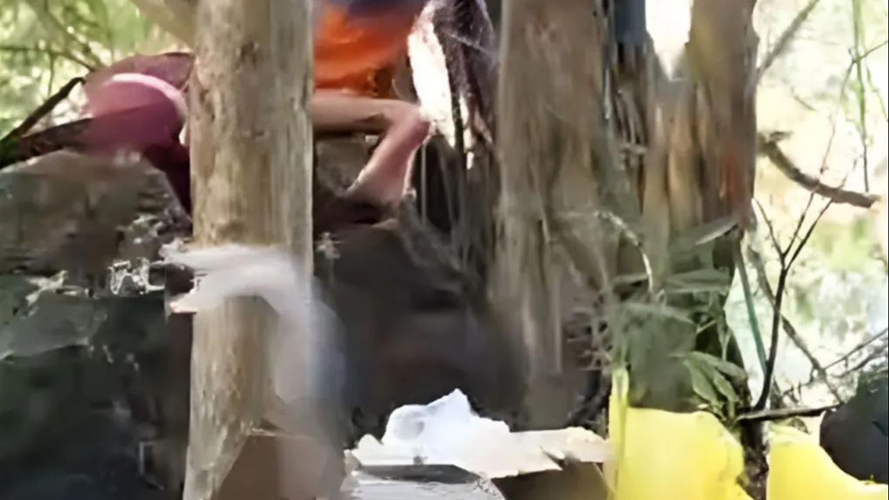Viral Muncul Ular Kobra Serang Wisatawan di Leang Londrong Pangkep, Begini Faktanya