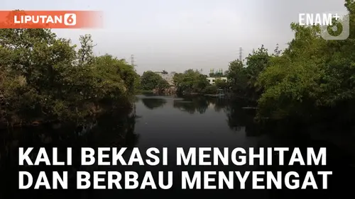 VIDEO: Kali Bekasi Menghitam Keluarkan Bau Menyengat Akibat Tercemar Limbah Pabrik