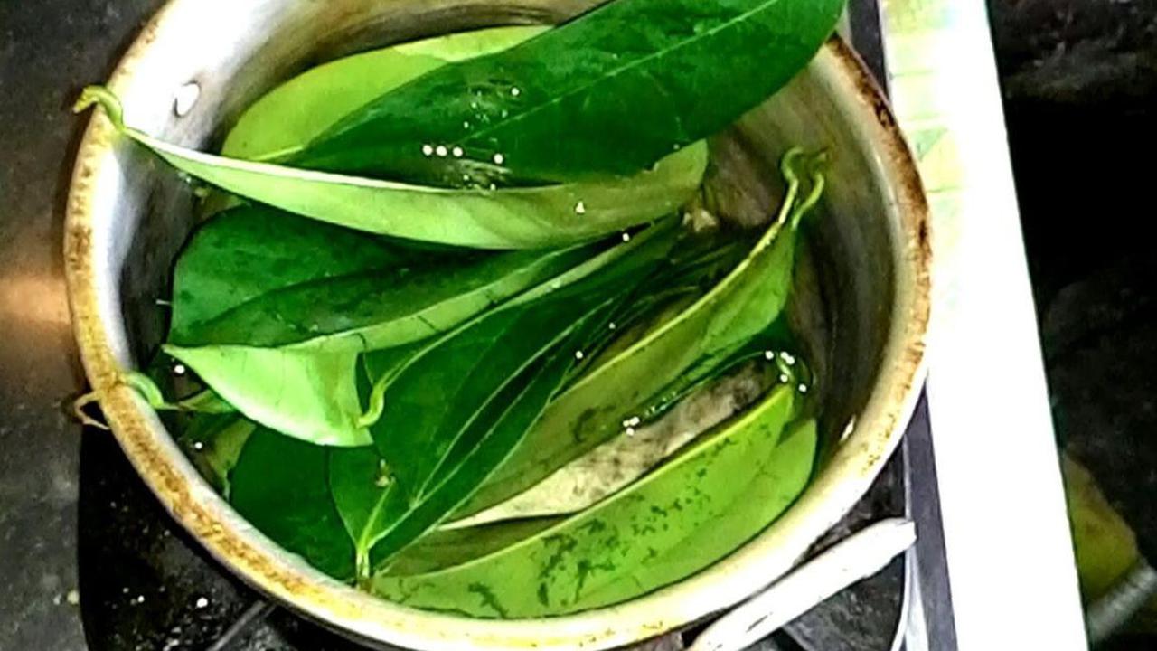 Minum segelas teh daun buah berdaging putih ini juga dapat membantu meredakan stres.