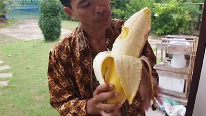 Heboh Pisang Raksasa dari Papua Mendunia