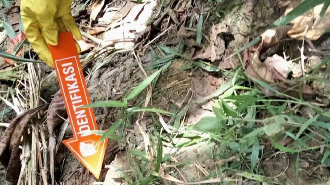 Polres Karawang Selidiki Penemuan Mayat Wanita Misterius di Kawasan Industri KJIE