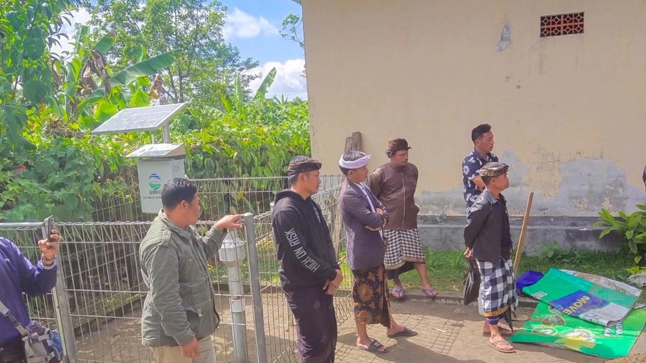 Lalat Serbu Kintamani