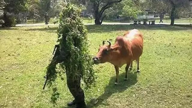 6 Tingkah Konyol Orang Punya Rambut dari Rumput, Absurd Banget