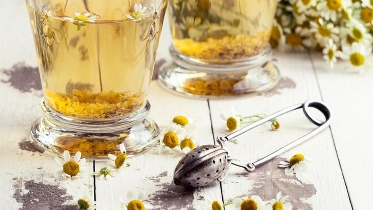 Dari memperkuat kekebalan tubuh hingga potensi meredakan kanker, chamomile telah terbukti sebagai obat herbal yang berharga.