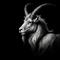 Capricorn quotes that reflect their strength. (Photo: Gerd Altmann/Pixabay)