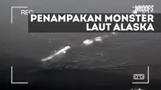 Makhluk raksasa terekam kamera saat berenang di laut Alaska. Banyak yang menyebut jika makhluk itu adalah monster laut
