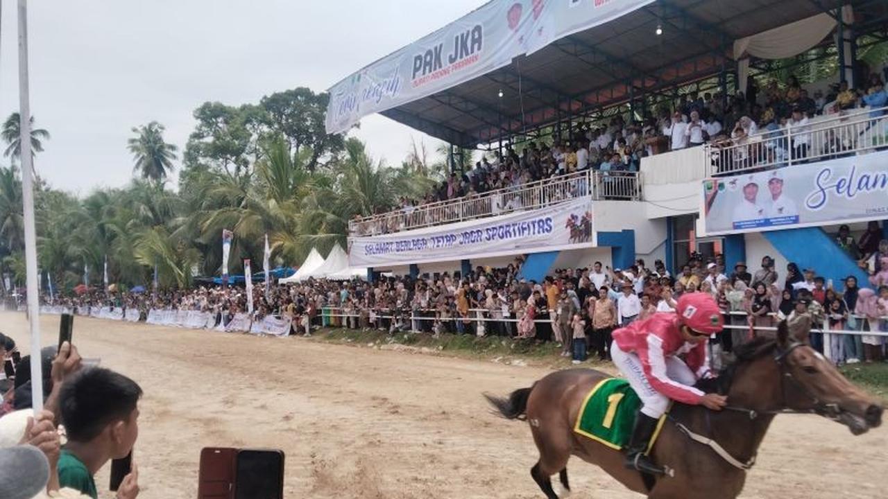 Pacu Kudo 2026 Dongkrak Pariwisata dan Ekonomi UMKM Padang Pariaman dan Kota Pariaman