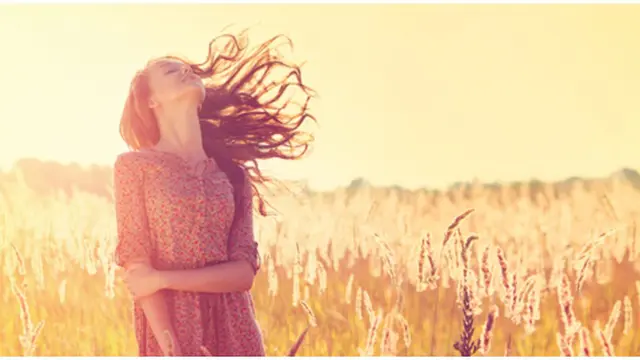 Foto: copyright Shutterstock.com