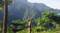 Lembah Ipukan di Gunung Ciremai, Kuningan, Jawa Barat, menjadi tujuan wisatawan. (Liputan6.com/Panji Prayitno)