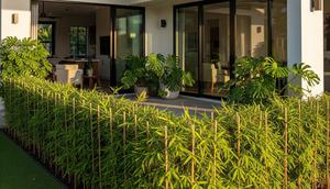 Teras Rumah dengan Pagar Tanaman Hidup (Gemini AI)