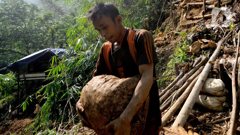 Kehidupan Penambang Emas di Citorek