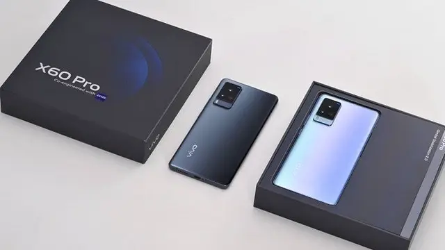 Vivo