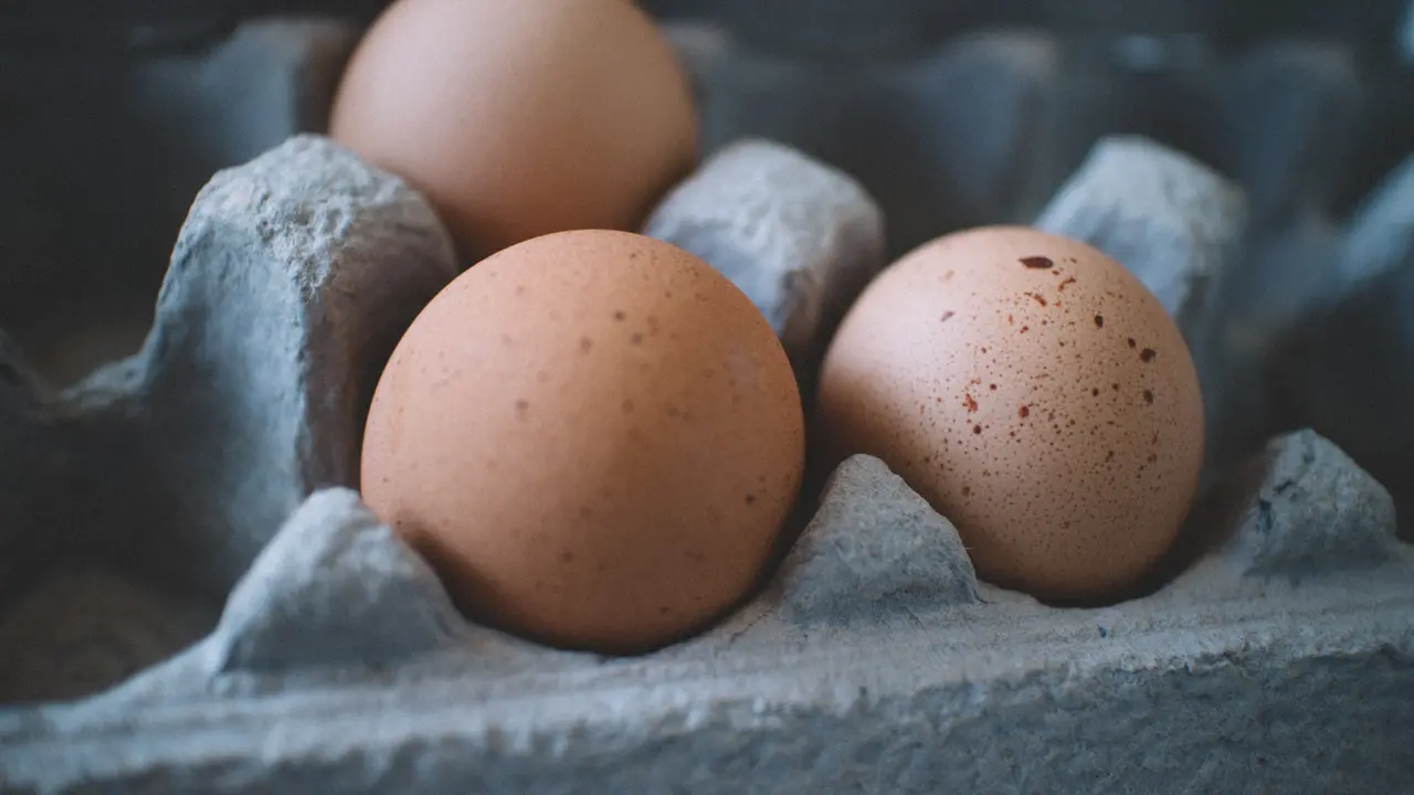 [Fimela] telur