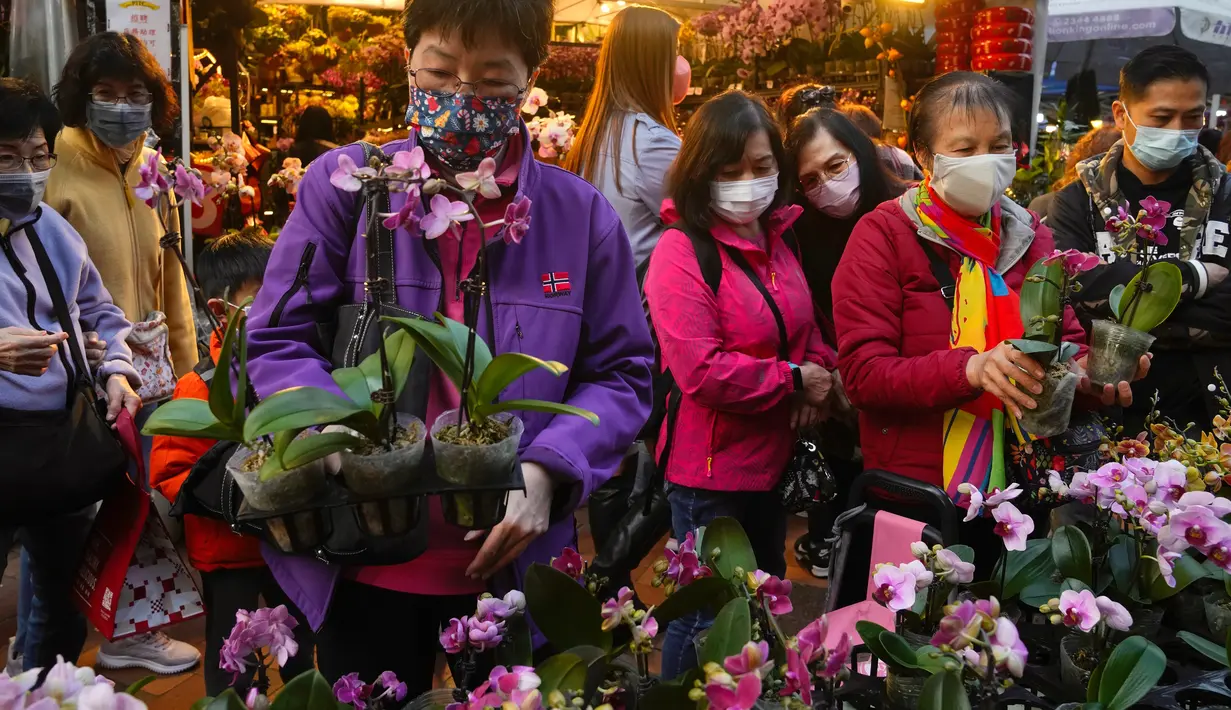 Pot bunga anggrek dipajang untuk dijual untuk merayakan Tahun Baru Imlek di Hong Kong, Rabu (19/1/2022). Tahun Baru Imlek China jatuh pada 1 Februari 2022. (AP Photo/Kin Cheung)