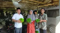 Anggota DPRD Jatim, Deni Prasetya panen pisang cavendish di Dusun Geladak Langsep, Desa Sumber Jambe, Jember. (Istimewa).