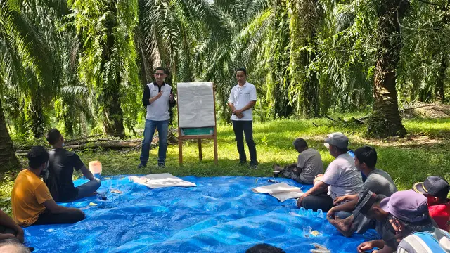 Sertifikasi RSPO berarti sawit diproduksi secara legal, tanpa deforestasi, menghormati hak pekerja dan masyarakat, serta mengikuti prinsip lingkungan dan sosial yang bertanggung jawab. (Dok Sinar Mas)