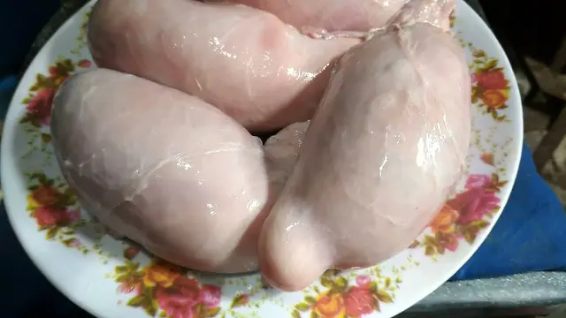 Khasiat Torpedo Sapi
