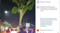 Dalam video yang dibagikan terlihat dua orang pria nampak santai membawa sebuah pohon pisang. (@fakta.indo)