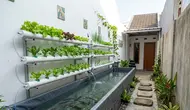 7 Tips Memelihara Lele di Kolam Terpal agar Tetap Produktif dan Tidak Mudah Mati