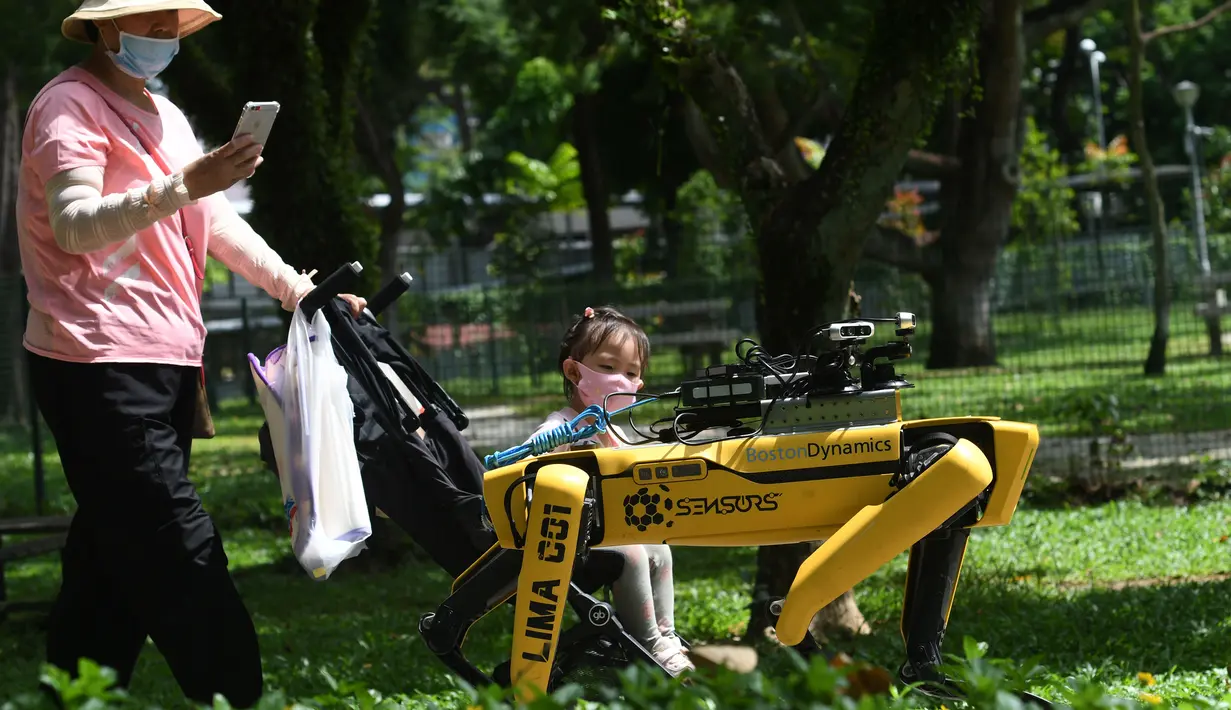 SPOT, robot anjing yang dapat mendeteksi apakah pengunjung memakai masker atau tidak menjalani uji coba putaran keduanya di Bishan Park Singapura, 22 September 2020. Uji coba ini bagian dari upaya melawan penyebaran COVID-19. (Xinhua/Then Chih Wey)