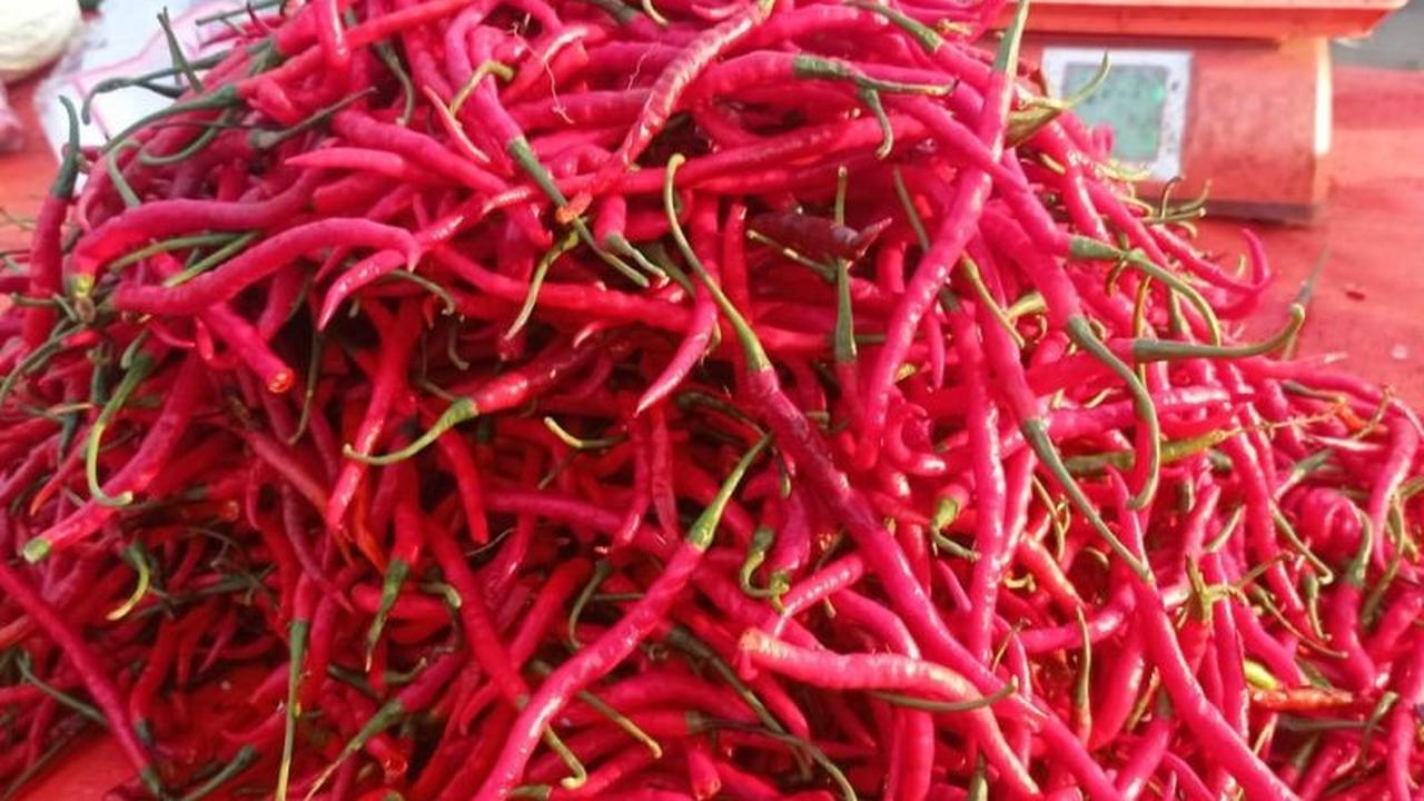 Cuaca Ekstrem Picu Kenaikan Harga Cabai Lebak di Tingkat Pengecer