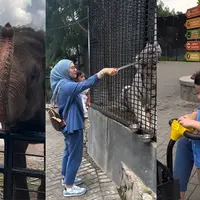 Irish Bella kembali menjadi sorotan netizen. Belum lama ini, perempuan dua orang anak itu tampak bersama dua anaknya jalan-jalan di kebun bintang. Ia menjadi perbincangan karena tak terlihat sang suami. [Instagram/_irishbella_]