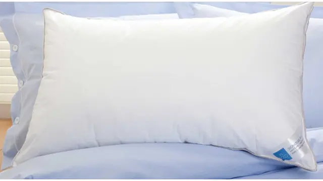 Foto: copyright polo.com.au