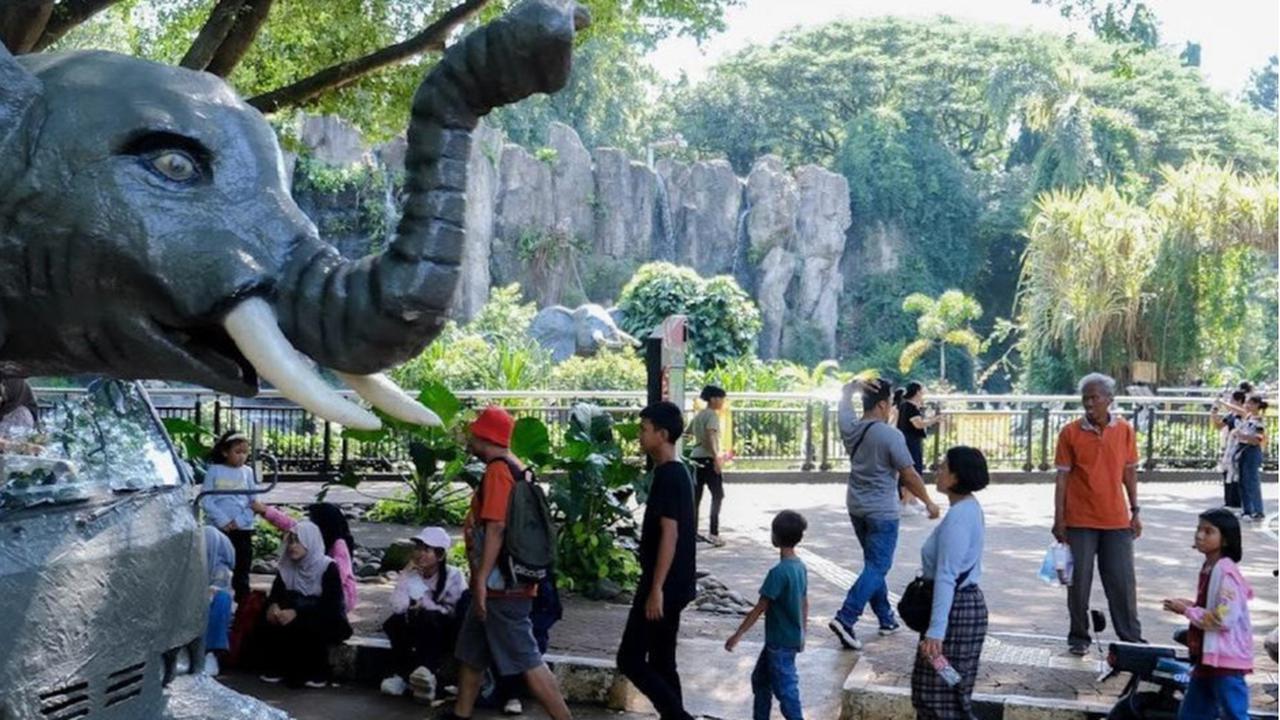 Apa Daya Tarik Kebun Binatang Ragunan? Ternyata Bukan Sekadar Melihat Hewan