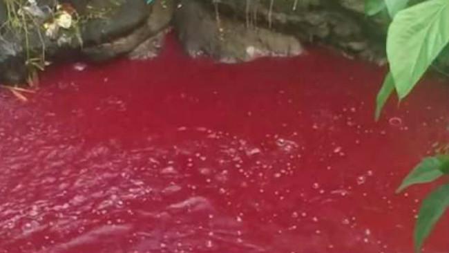 Rusia Hingga Indonesia Ini 6 Sungai Darah Yang Hebohkan
