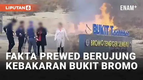 VIDEO: Fakta Prewedding Berujung Kebakaran Bukit Teletubbies Bromo