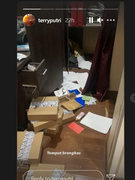 Rumah Terry Putri kemalingan (Instagram Stories)