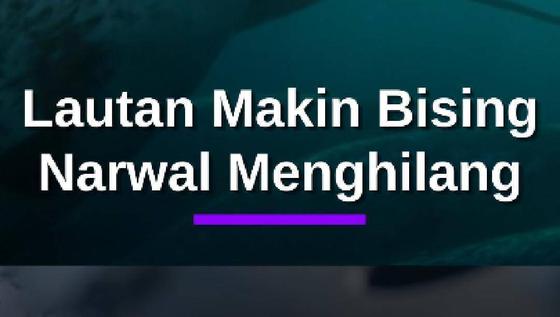 Kebisingan Kapal Diduga Ganggu Narwal di Perairan Arktik